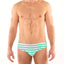Cabana Bikini Spearmint Swim Brief 4516