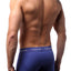 Calvin Klein Blue NB1897 Trunk
