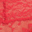 Calvin Klein Empower-Red Bare Lace Thong