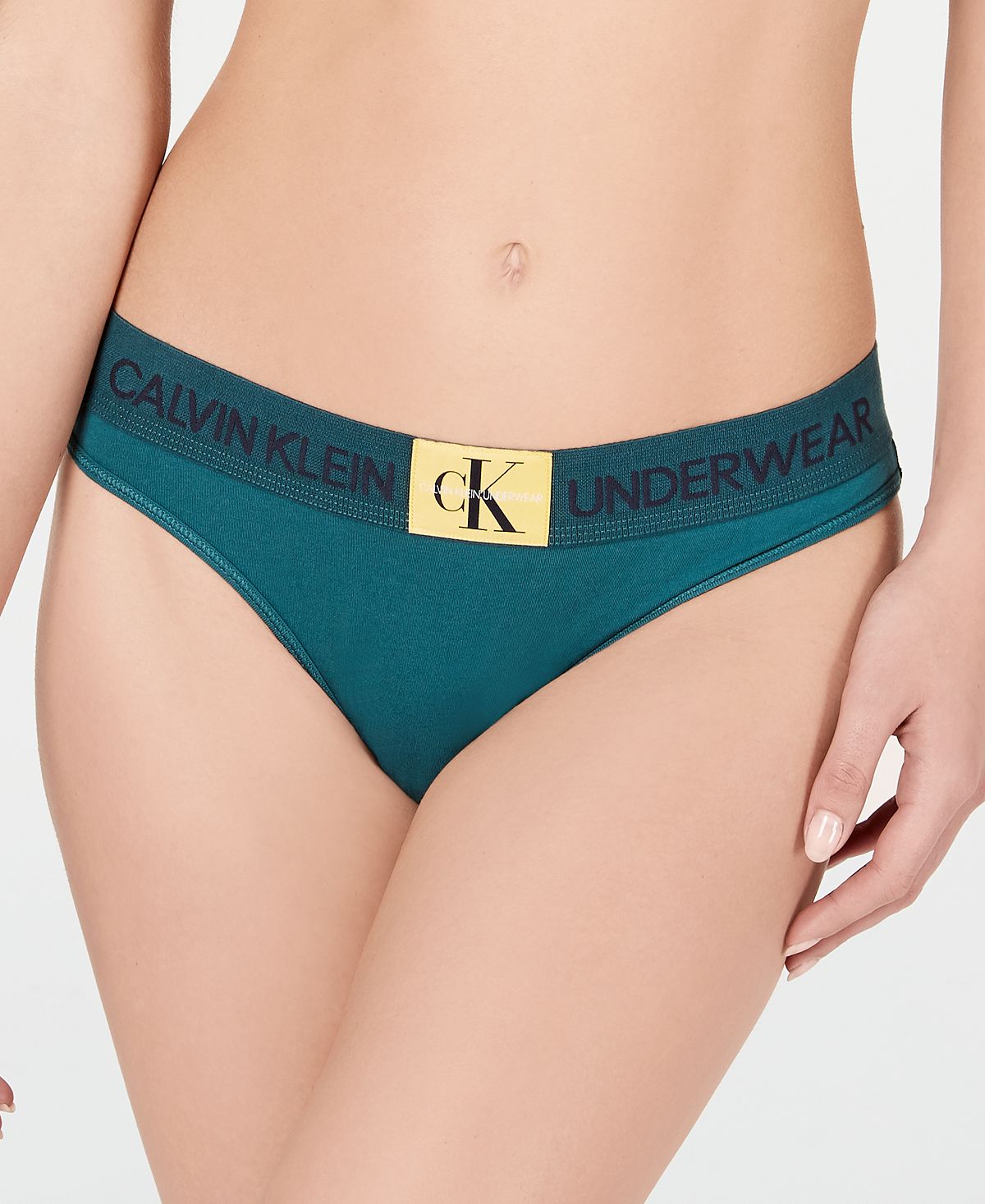 Calvin Klein Monogram Waist Bikini Qf4921 First At Antithesis