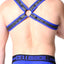 CellBlock 13 Blue Gridiron Pocket Harness
