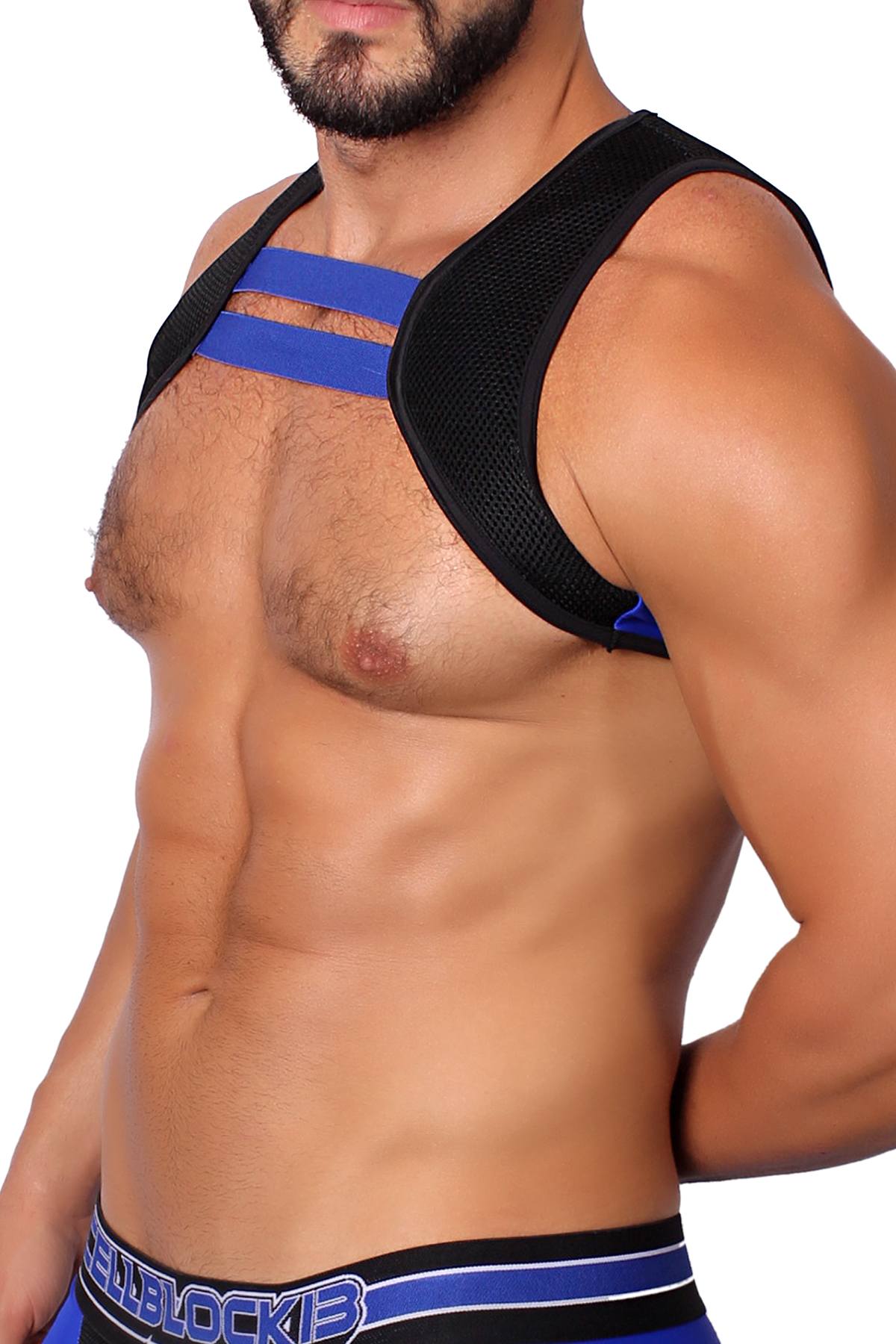 CellBlock 13 Blue Ranger Harness