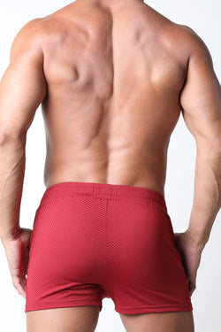 CellBlock 13 Burgundy Halfback Short thumbnail 3