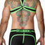 CellBlock 13 Green Sentinel Trunk