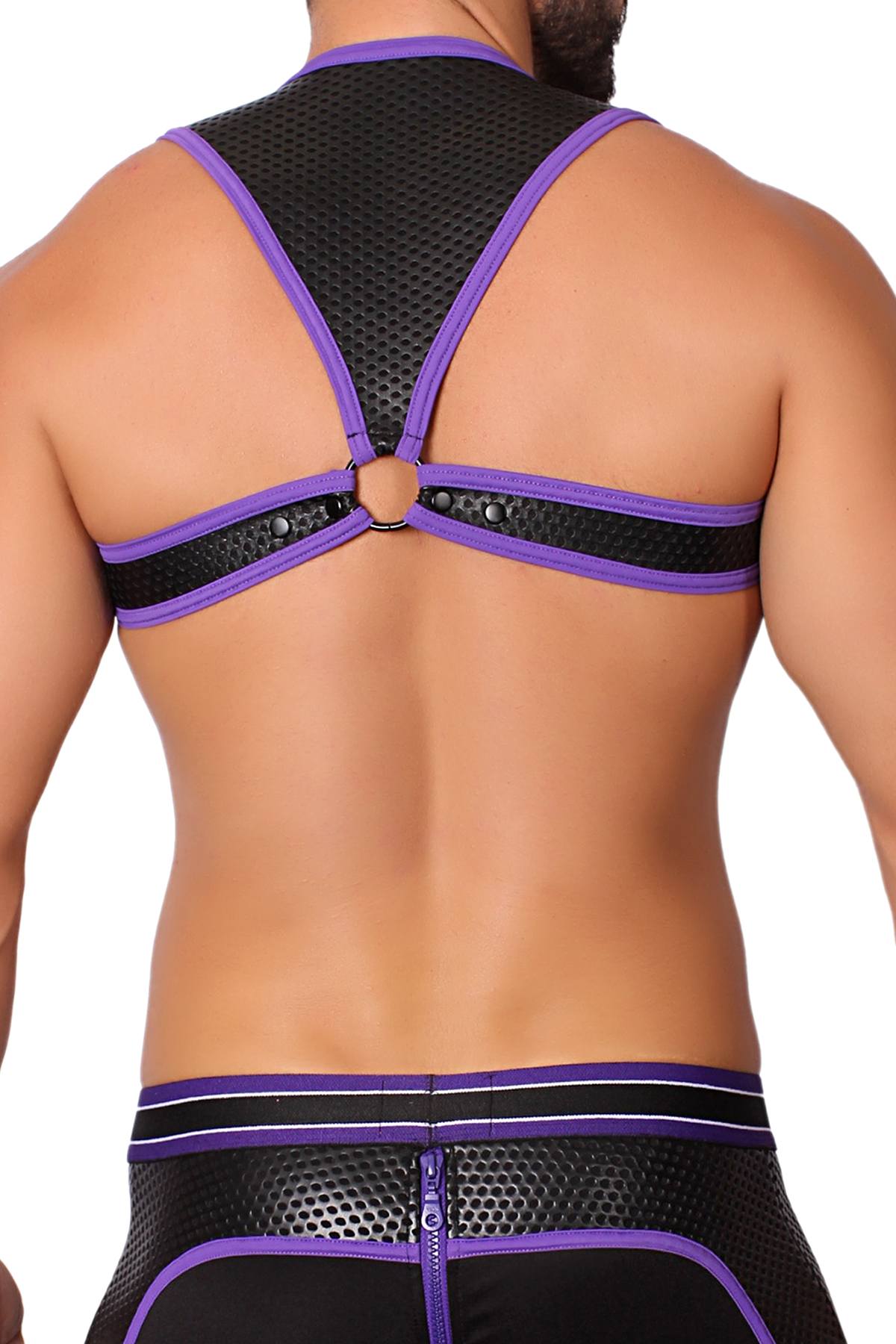 CellBlock 13 Purple Apex Harness