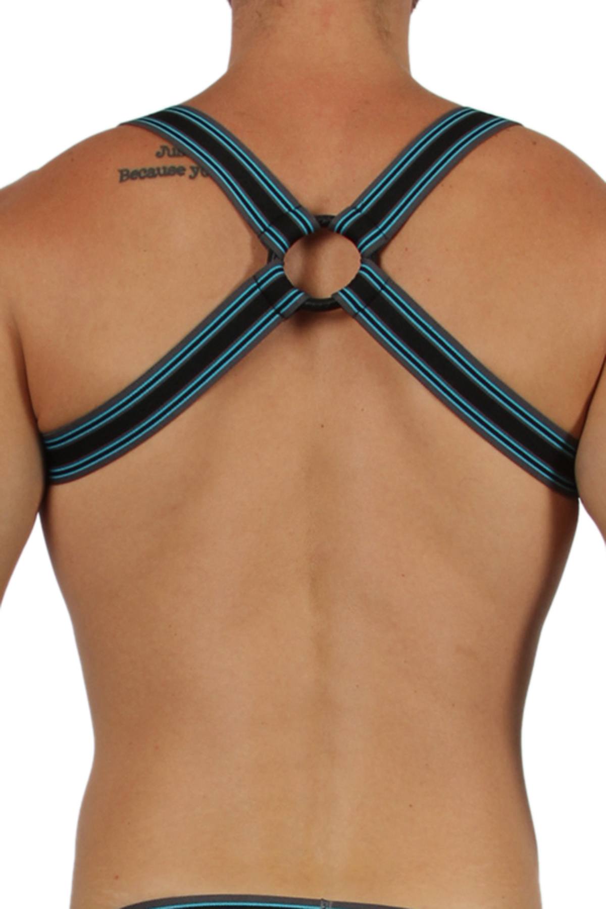 CellBlock13 Blue Kennel Club Harness