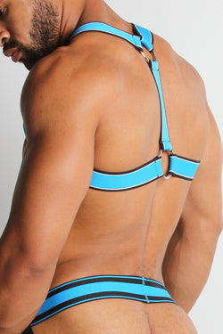 CellBlock13 Blue Kennel Club Scout Harness thumbnail 1
