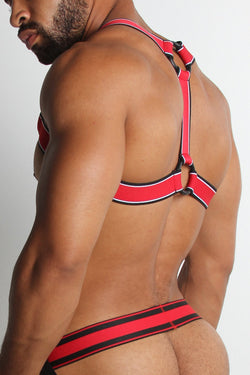 CellBlock13 Red Kennel Club Scout Harness thumbnail 1