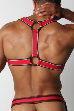 CellBlock13 Red Kennel Club Scout Harness thumbnail 2