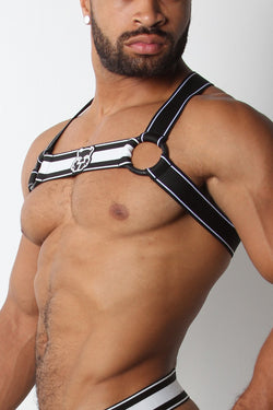 CellBlock13 White Kennel Club Scout Harness thumbnail 4