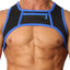 Cellblock 13 Blue Moto X Harness