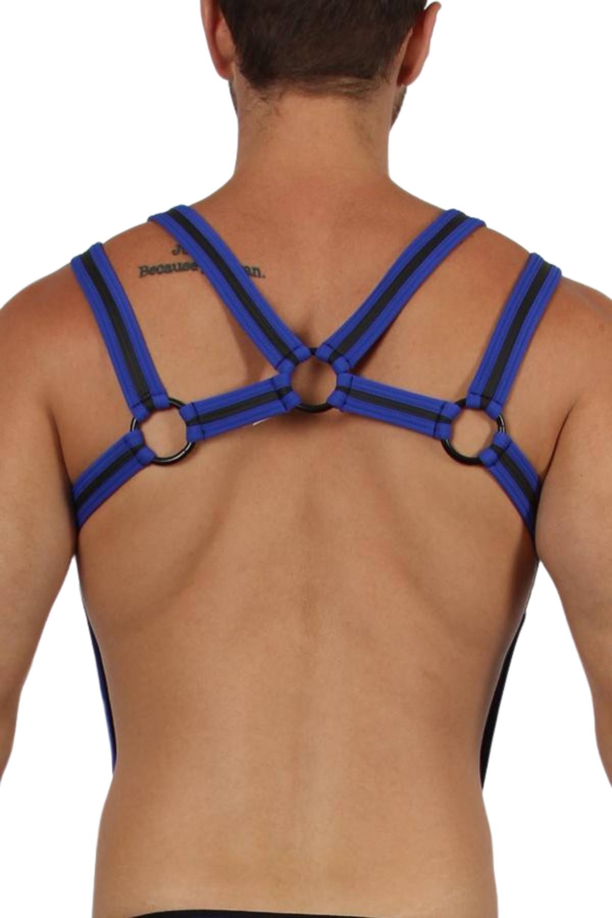 Cellblock 13 Blue Trident Harness