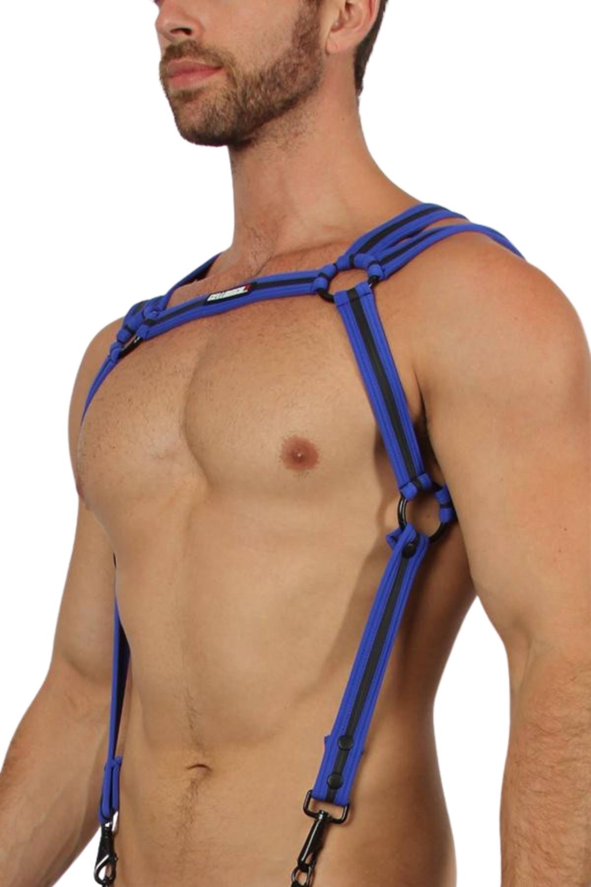 Cellblock 13 Blue Trident Harness