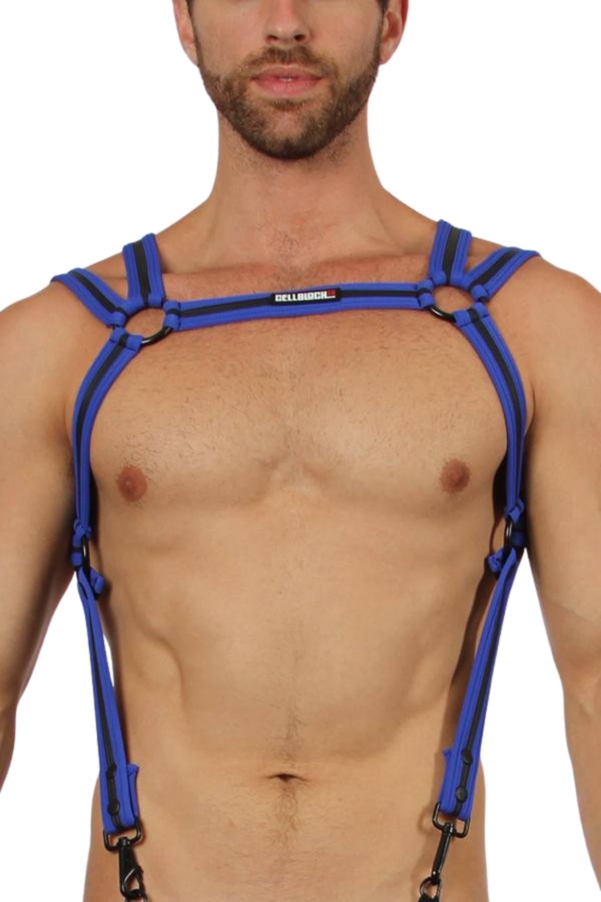 Cellblock 13 Blue Trident Harness
