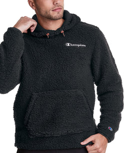 Champion Fleece Hoodie Black thumbnail 1