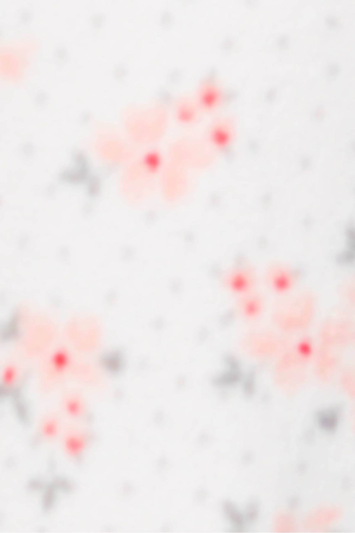 Charter Club Intimates Dot-Floral Printed Fleece Pajama Set