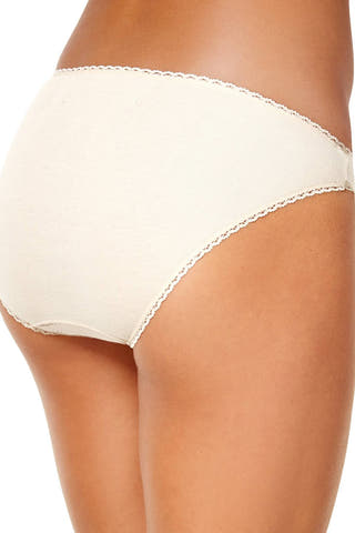 Charter Club Intimates Ivory Pretty Cotton Bikini Brief