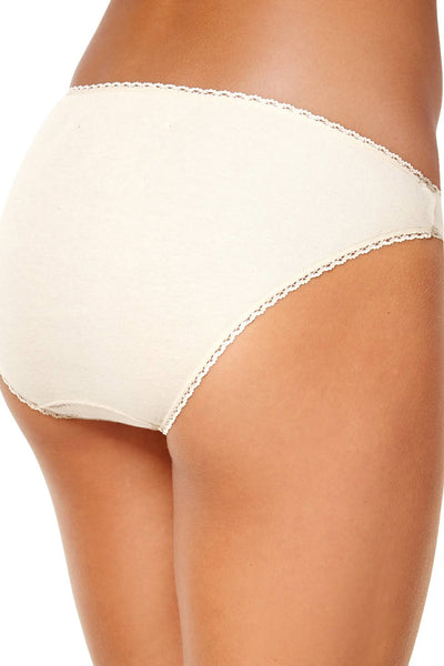 Charter Club Intimates Ivory Pretty Cotton Bikini Brief