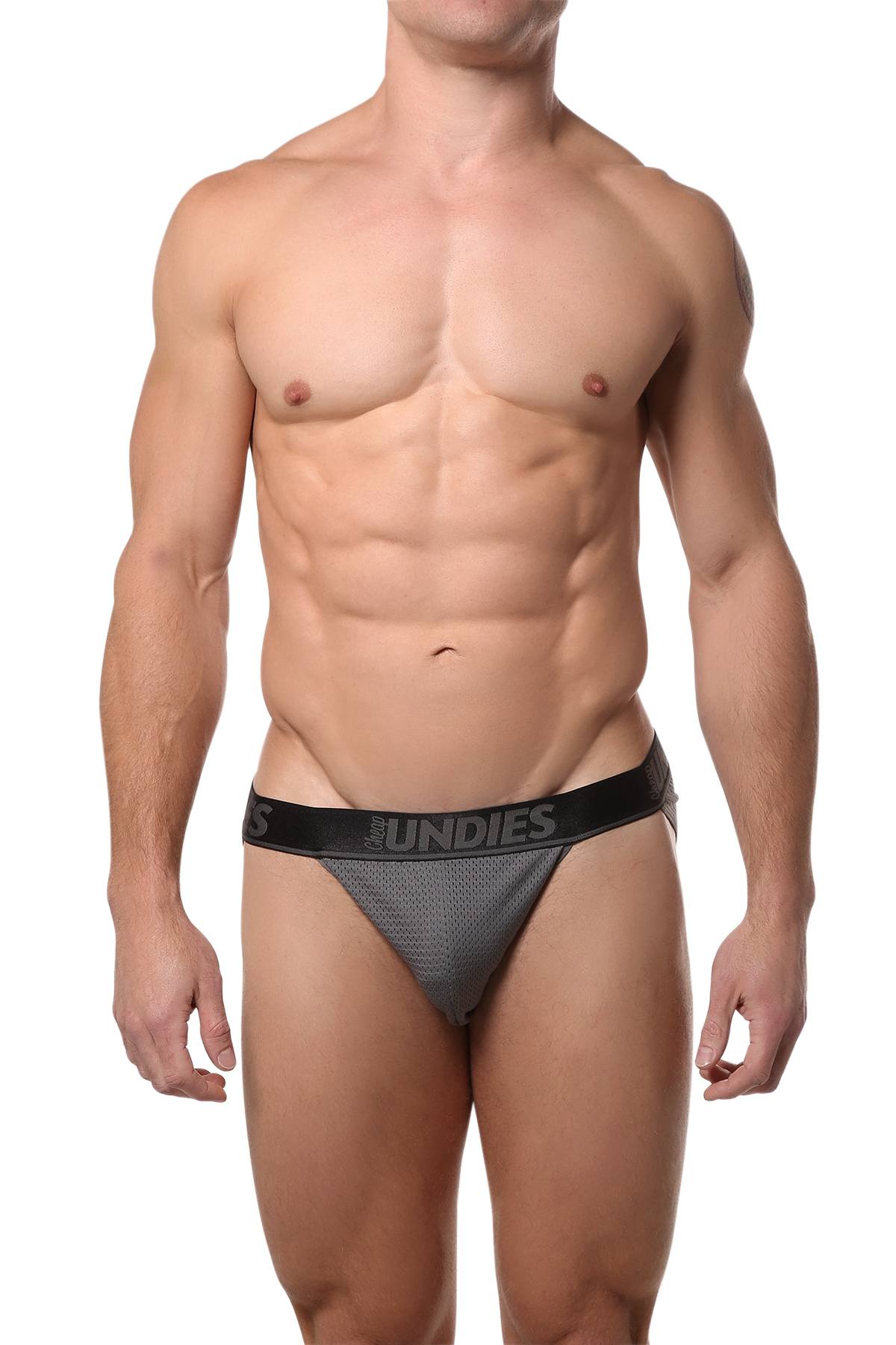 CheapUndies Charcoal Mesh Bikini Brief