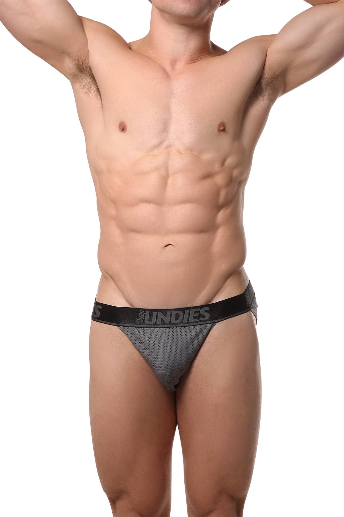 CheapUndies Charcoal Mesh Bikini Brief