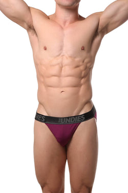 CheapUndies Merlot Mesh Bikini Brief thumbnail 3
