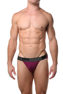 CheapUndies Merlot Mesh Bikini Brief thumbnail 2