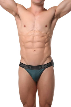 CheapUndies Peacock Mesh Bikini Brief thumbnail 3