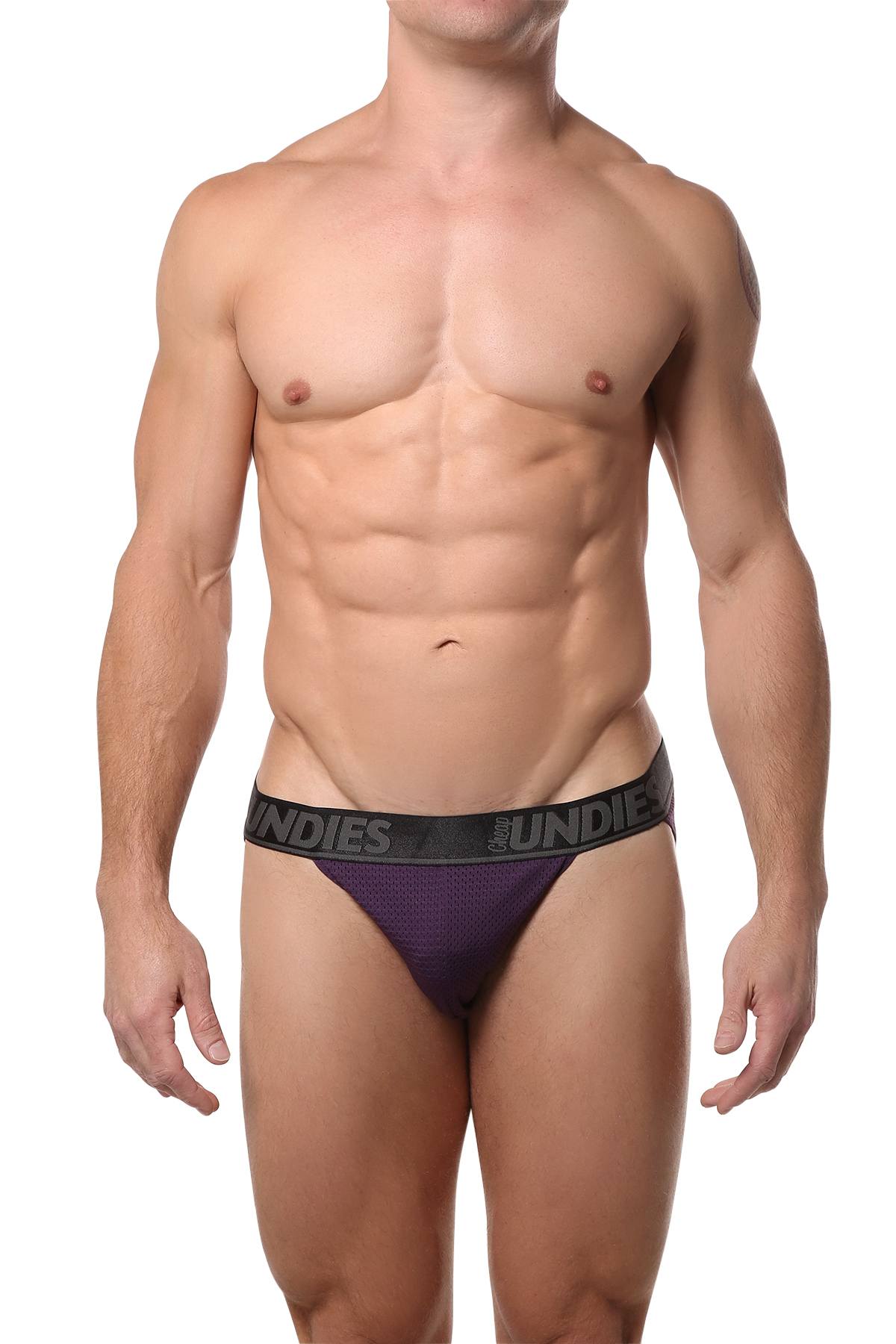 CheapUndies Purple Mesh Bikini Brief
