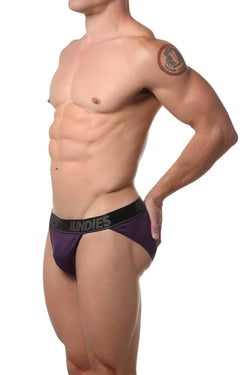 CheapUndies Purple Mesh Bikini Brief thumbnail 1