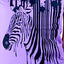 Choke Purple Zebra-Ink Tee