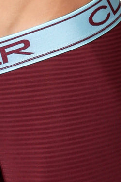 Clever Aqua/Wine Faint Stripe Limited Edition Trunk thumbnail 4