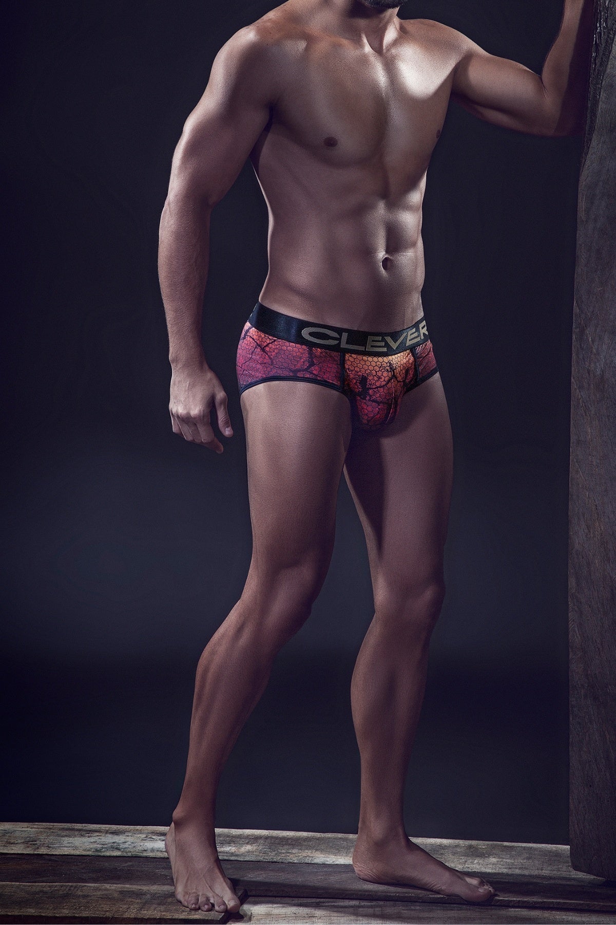Clever Black Chameleon Piping Brief