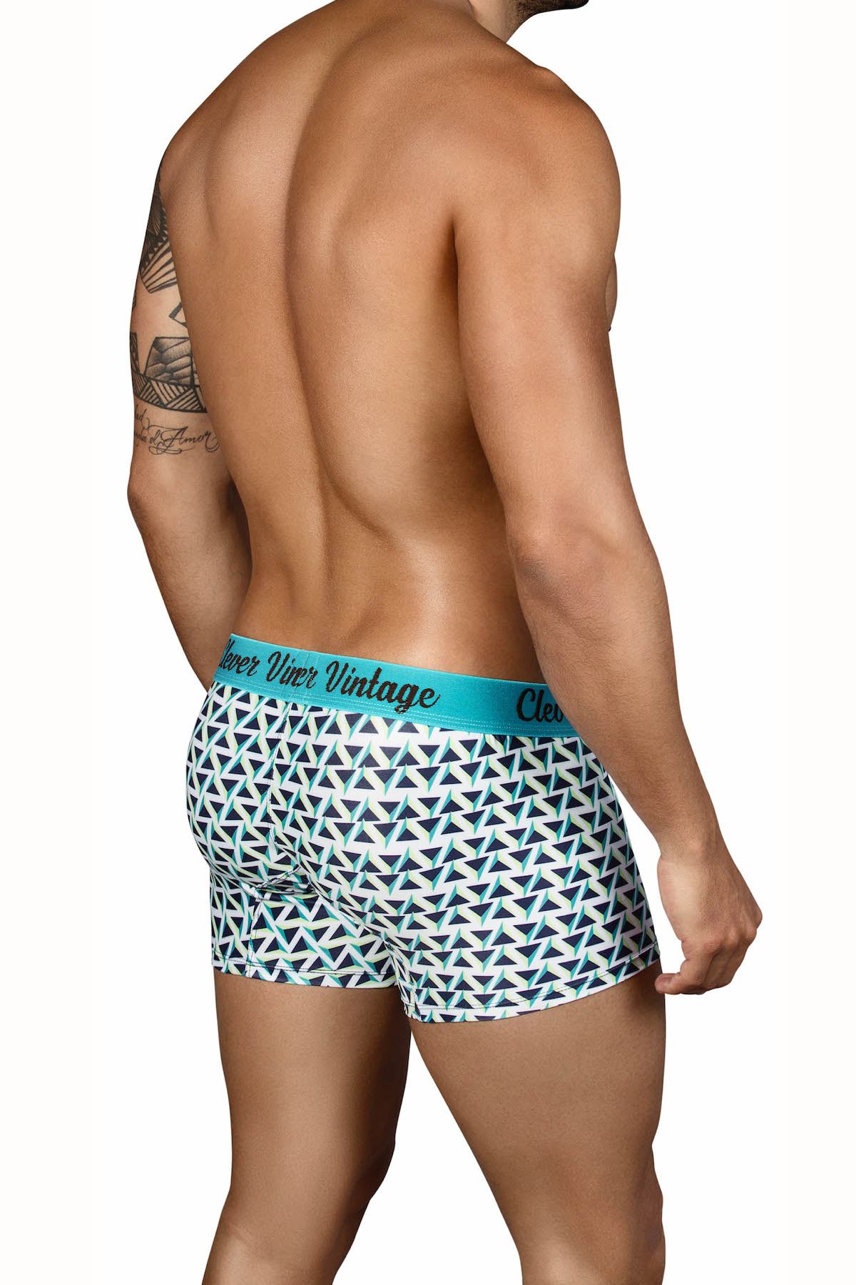 Clever Blue Triangle Boxer Brief