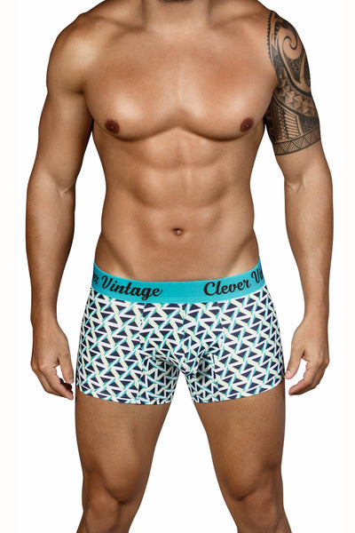 Clever Blue Triangle Boxer Brief
