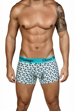 Clever Blue Triangle Boxer Brief thumbnail 1
