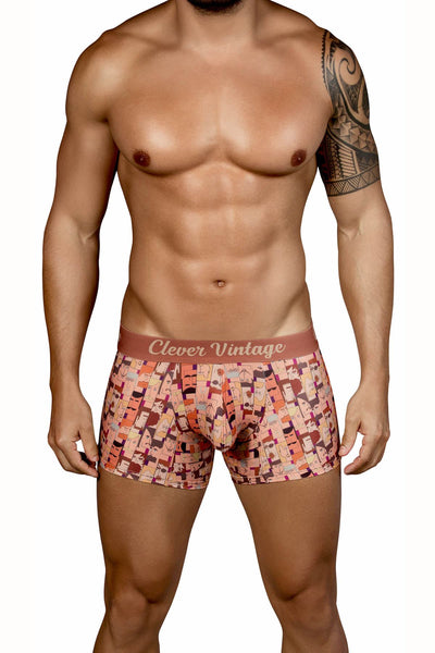 Clever Brown Cartoon Boxer Brief