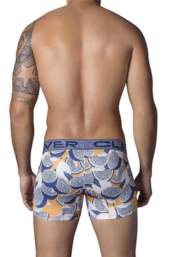 Clever Dark-Blue Garden Boxer Brief thumbnail 2