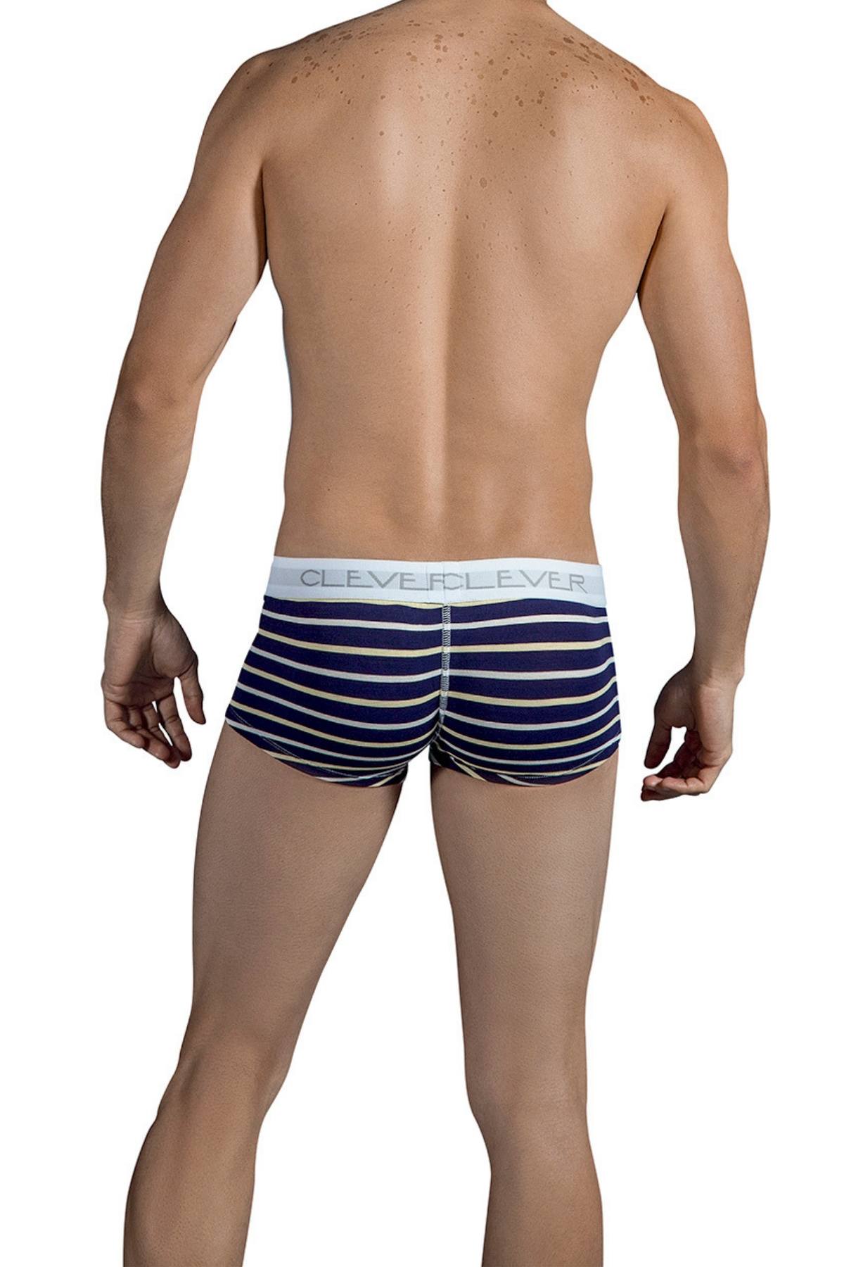 Clever Dark-Blue Wine Latin Boxer
