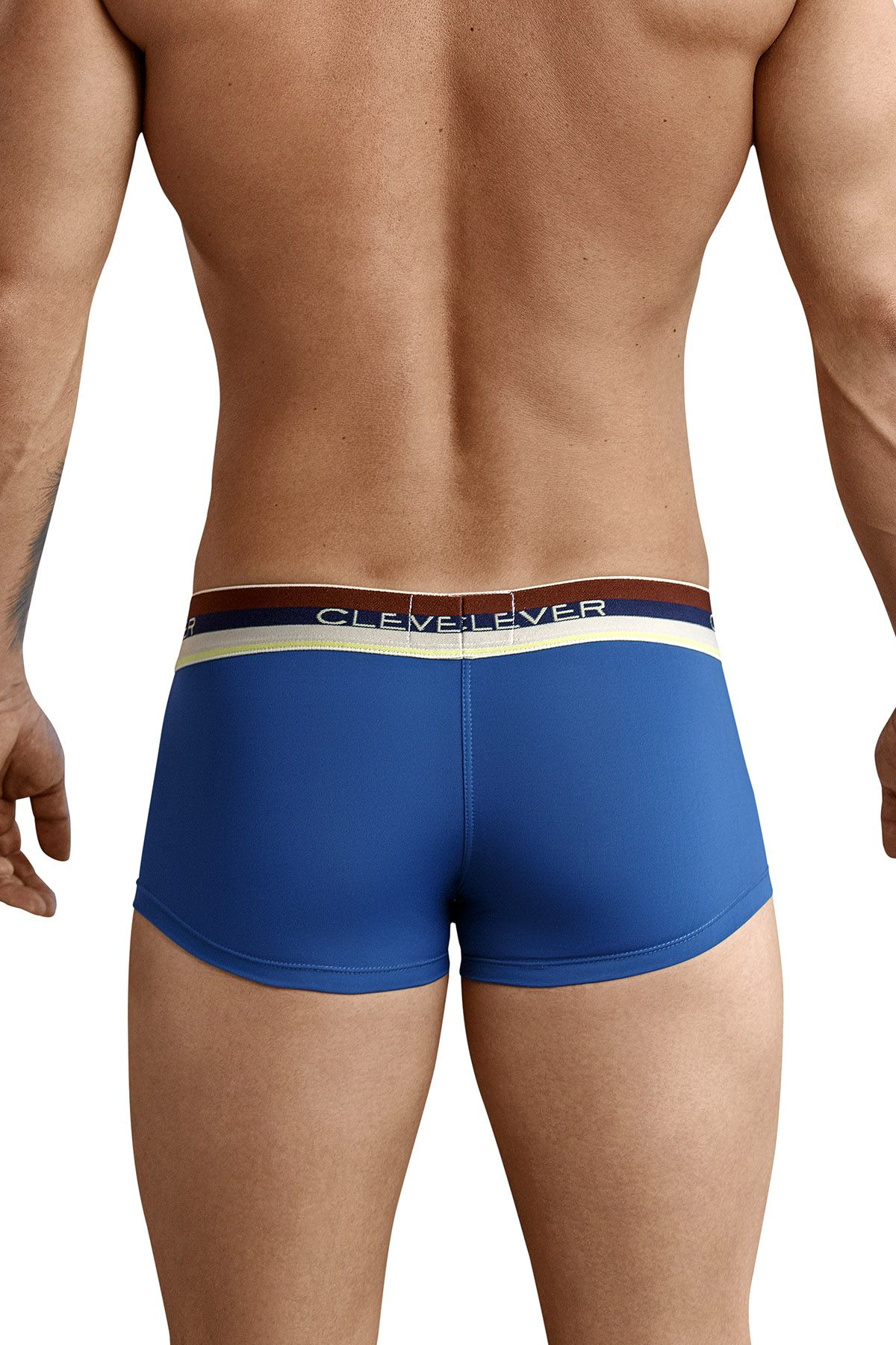 Clever Dark Teal Cambodian Latin Trunk