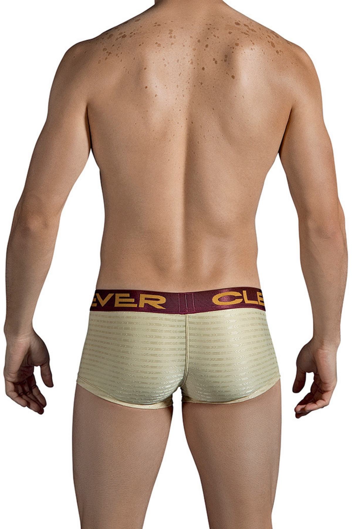 Clever Gold Egyptian Latin Boxer