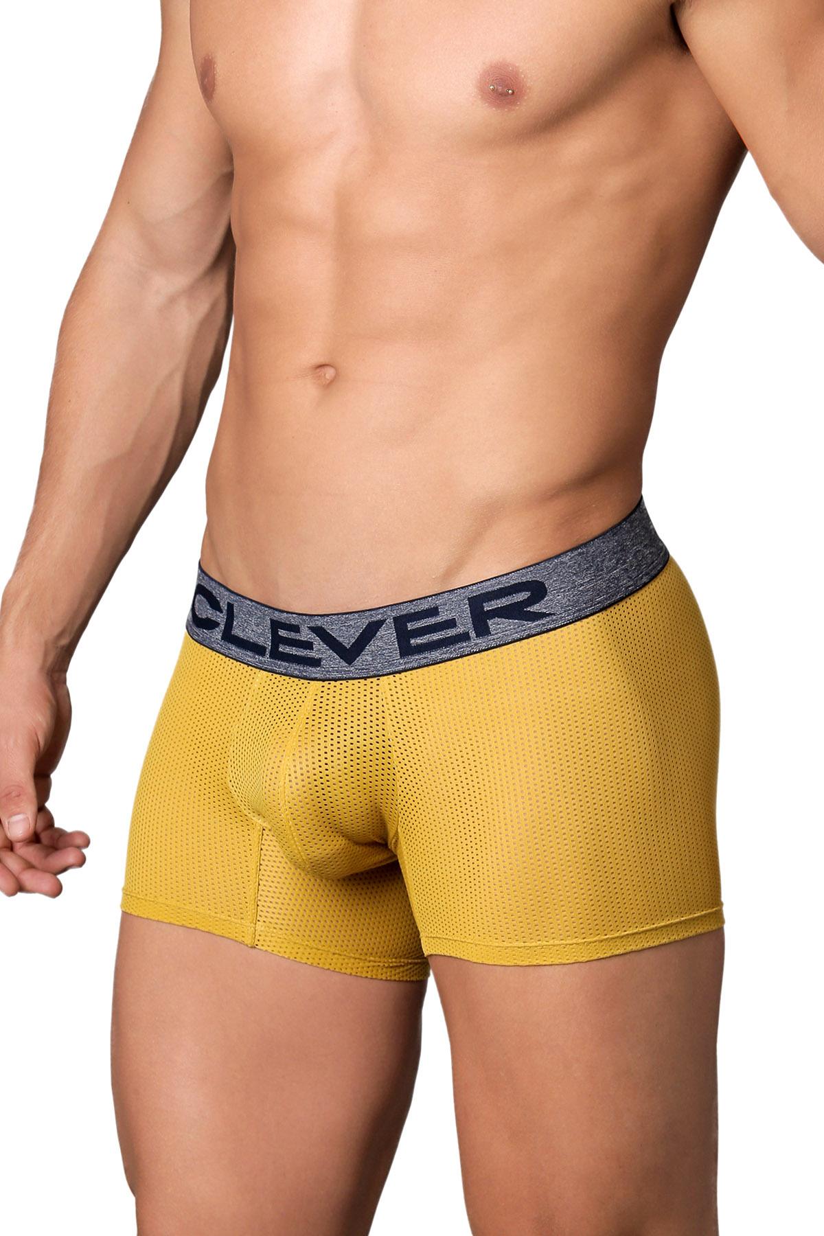 Clever Gold Limited Edition Mesh Trunk