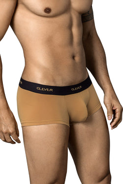 Clever Light Brown Conservative Latin Trunk thumbnail 1