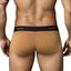 Clever Light Brown Conservative Latin Trunk