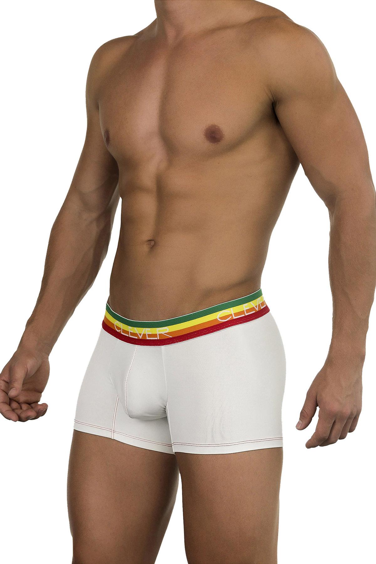Clever Limited Edition Beige/Rainbow Trunk 219907