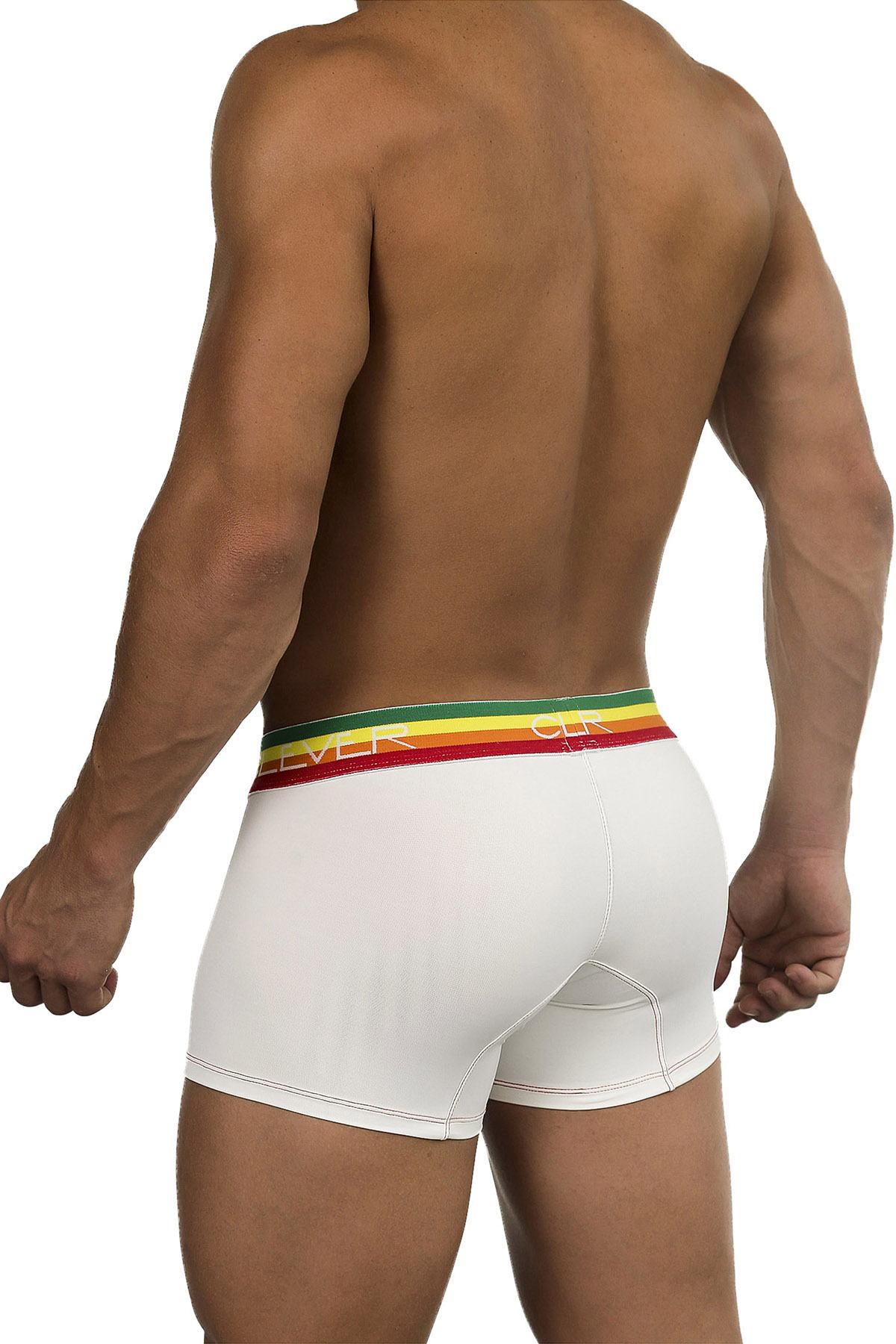 Clever Limited Edition Beige/Rainbow Trunk 219907