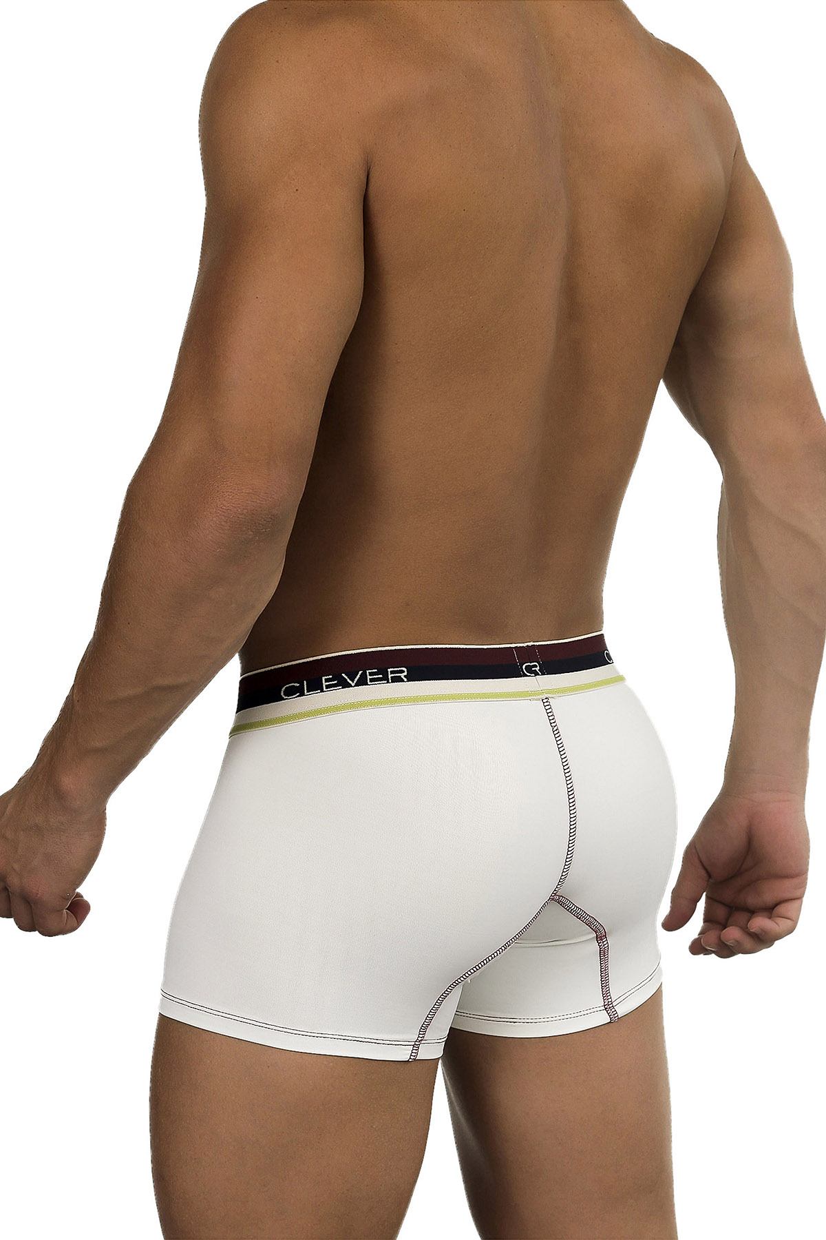 Clever Limited Edition Beige Trunk 219975