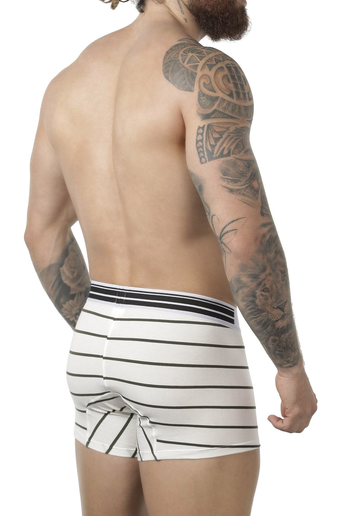 Clever Limited Edition Green Stripe Boxer 229902