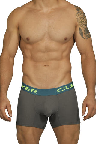 Clever Limited Edition Grey Boxer 229903