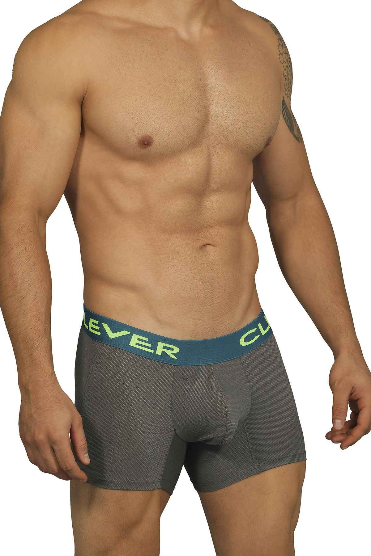 Clever Limited Edition Grey Boxer 229903