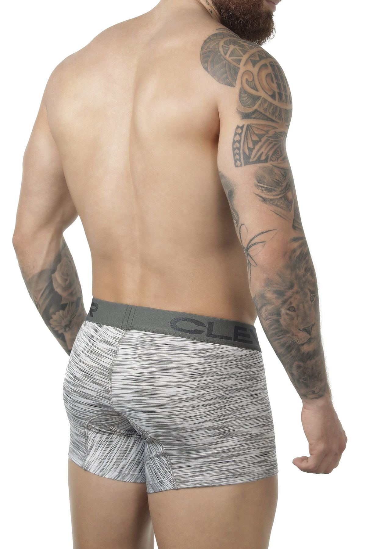Clever Limited Edition Grey Trunk 219994